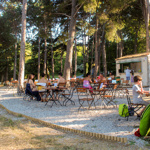 Plaža Debeli rtič
Debeli rtič beach