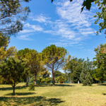 Parco mediterraneo della CRS di Punta Grossa