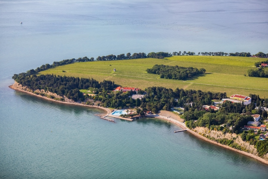 Pogled na Debeli rtič, foto Jaka Ivančič