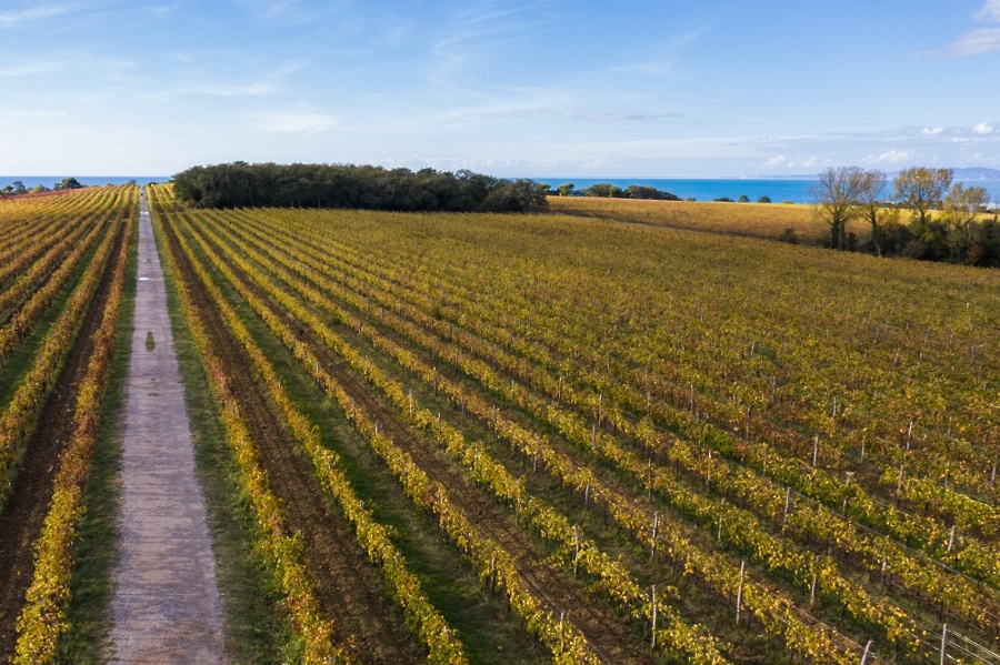 Slovenska Istra jeseni