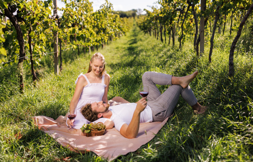 Doživetje med vinogradi