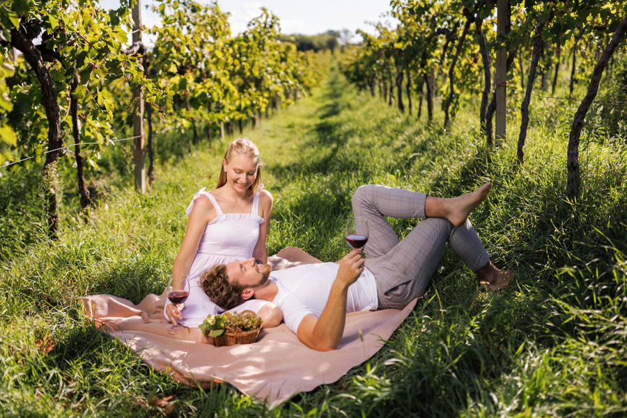Doživetje med vinogradi
